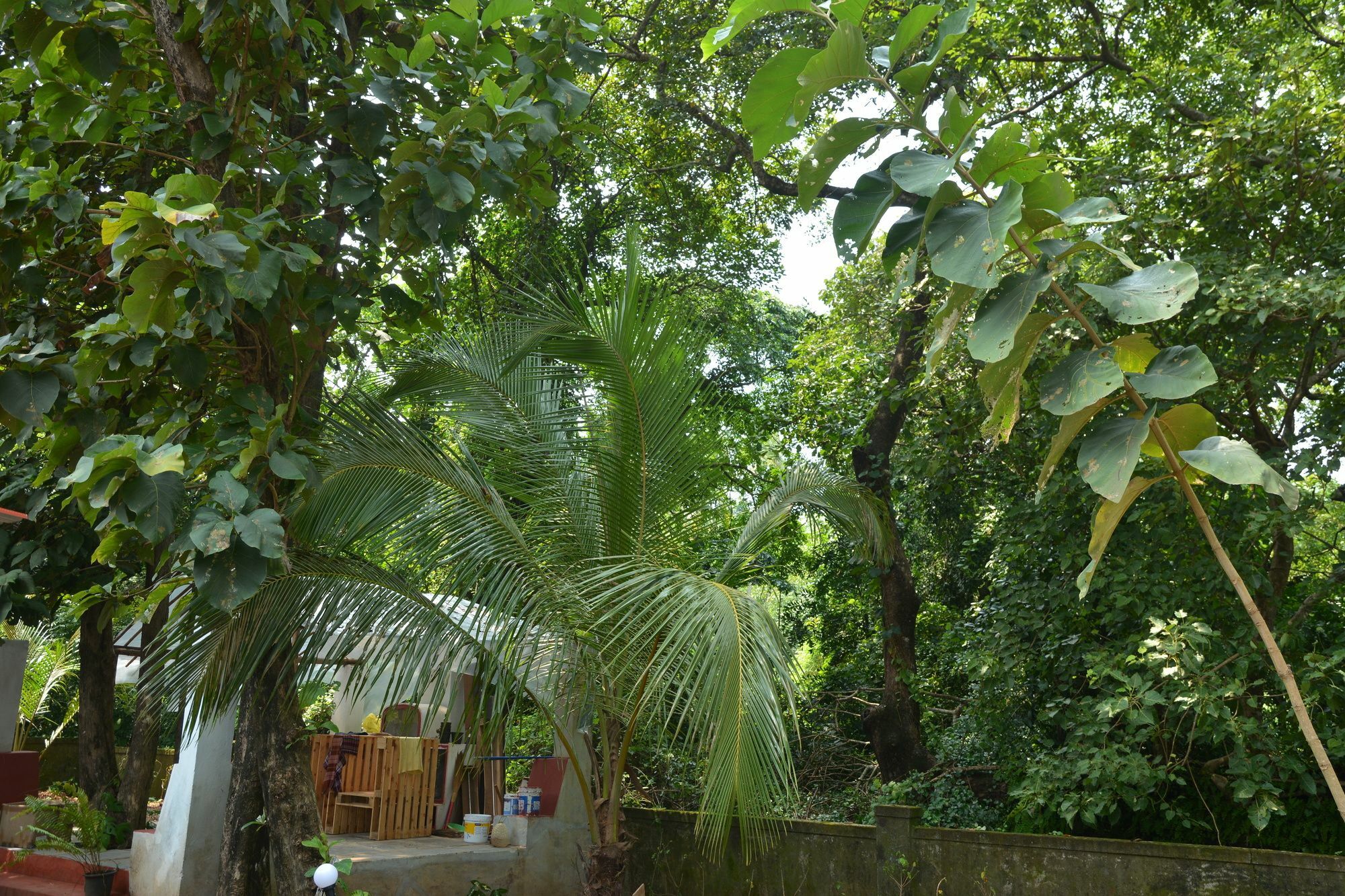 Folklore Hostel Goa فاغاتور المظهر الخارجي الصورة